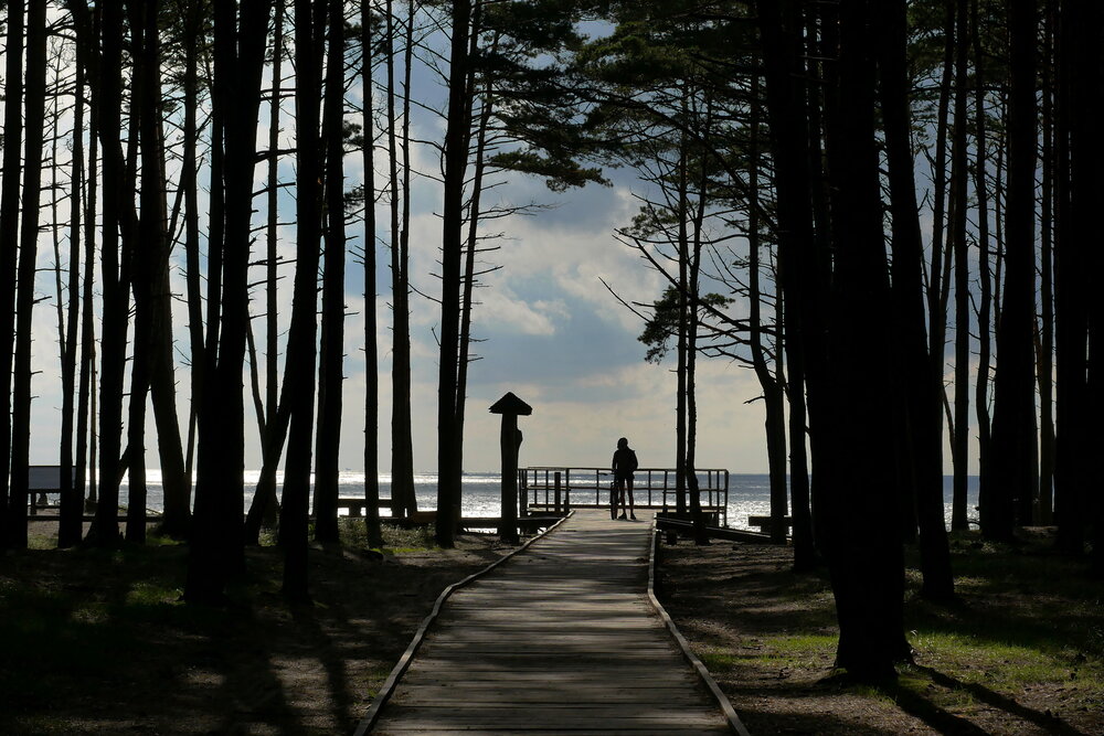 Photograph by Владимир Лобанов