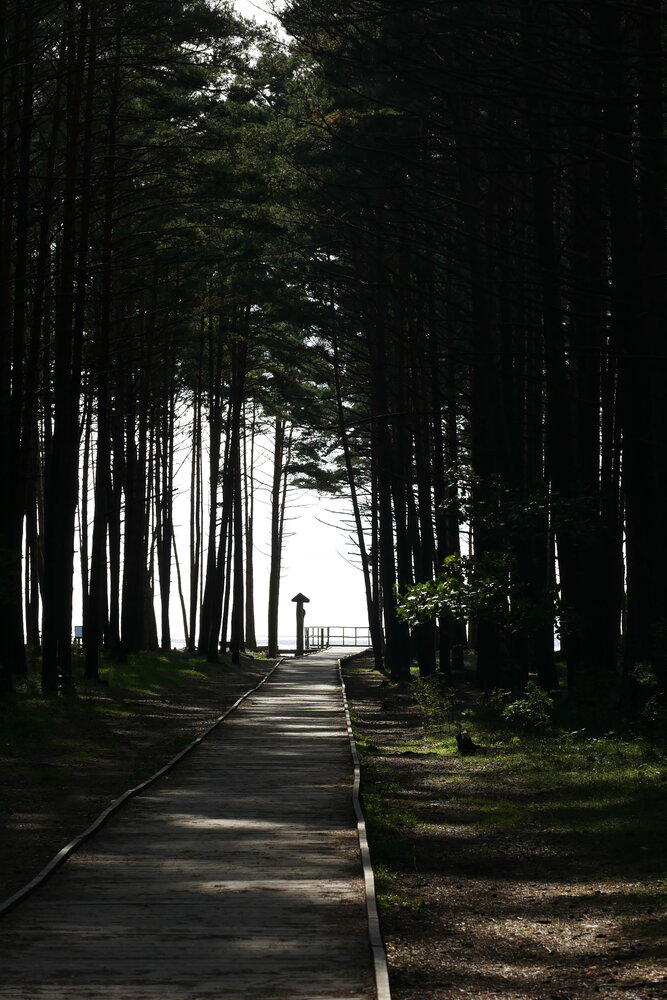 Photograph by Владимир Лобанов