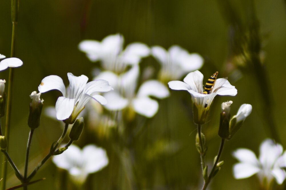 Photograph by Svetlana Timoshenko
