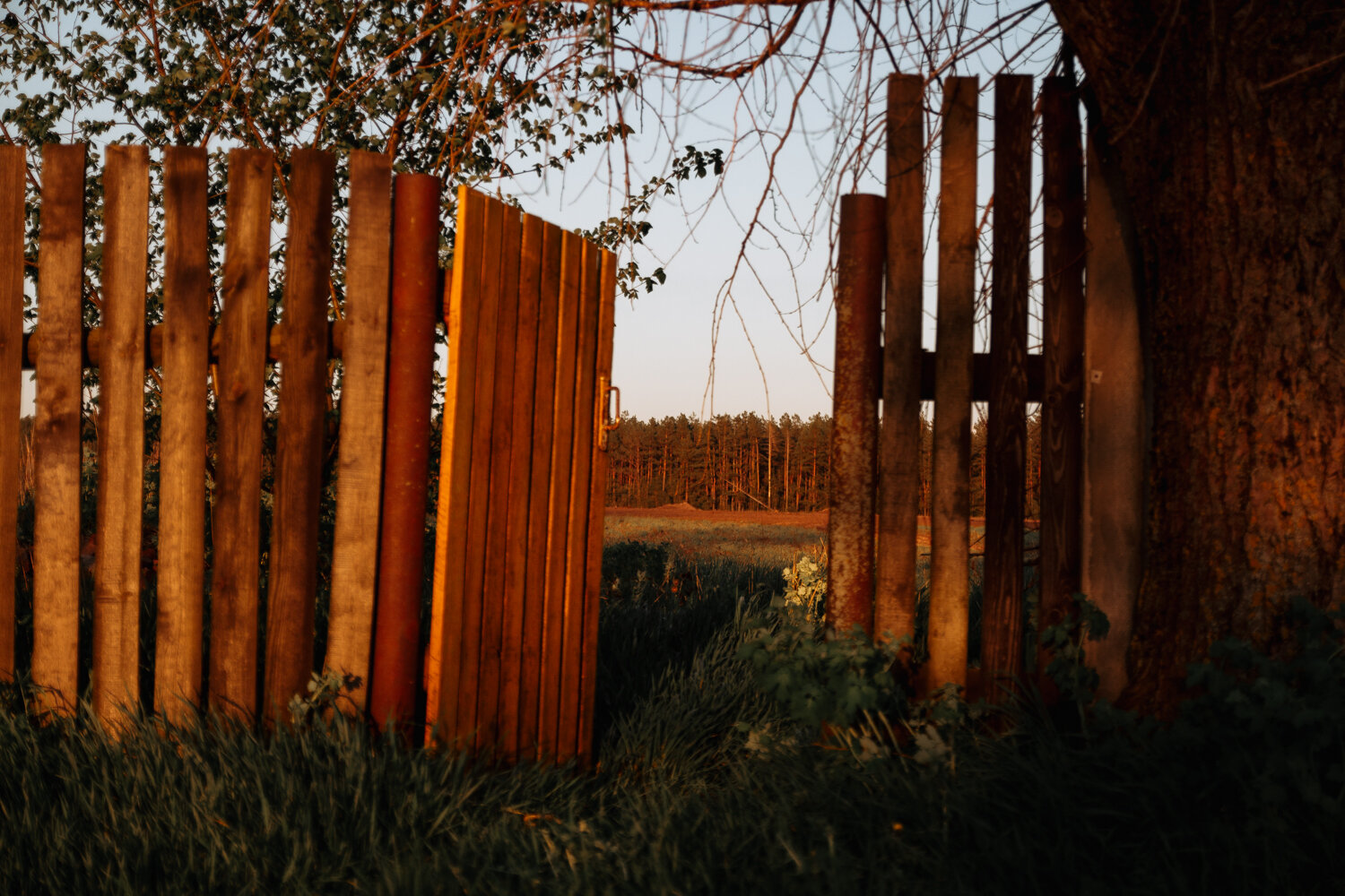 Photo #13859298