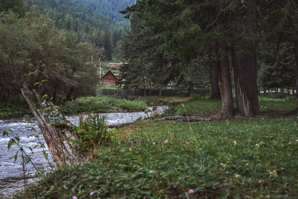 Photograph by Ольга Новикова