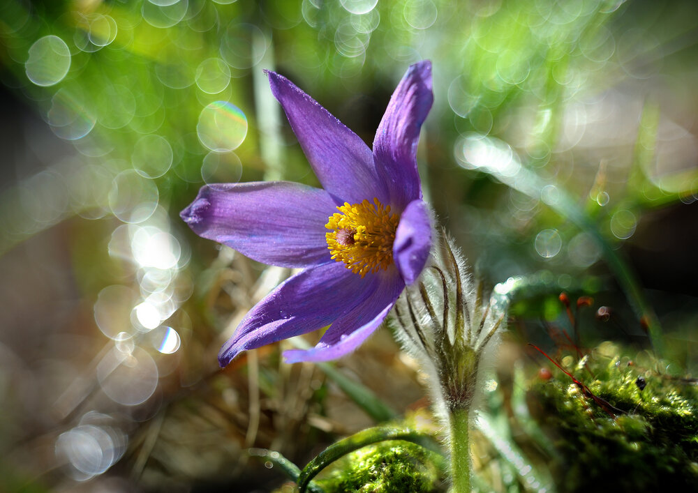 Photograph by Владимир Щеголев