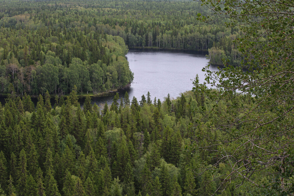 Photograph by Наталия Козлова