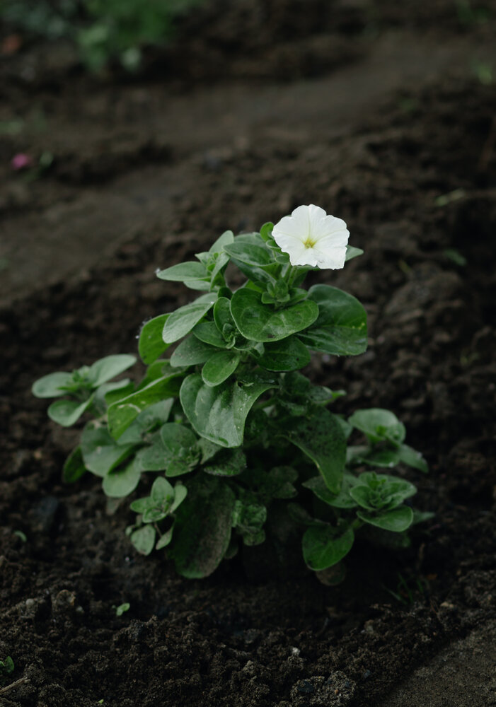 Photograph by Виталий Потапенок