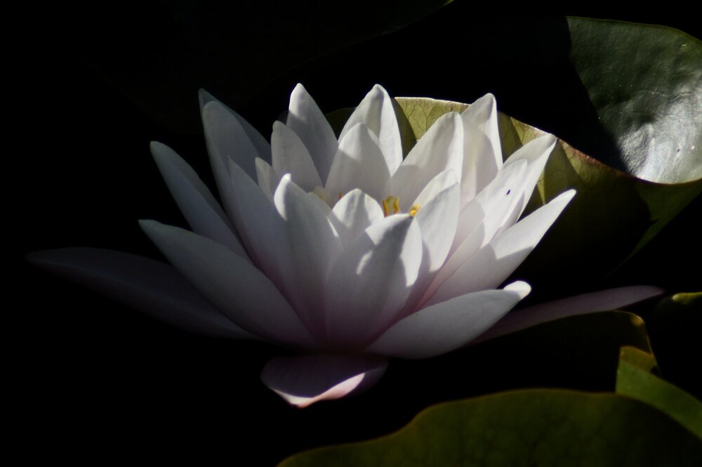 Photograph by Svetlana Timoshenko