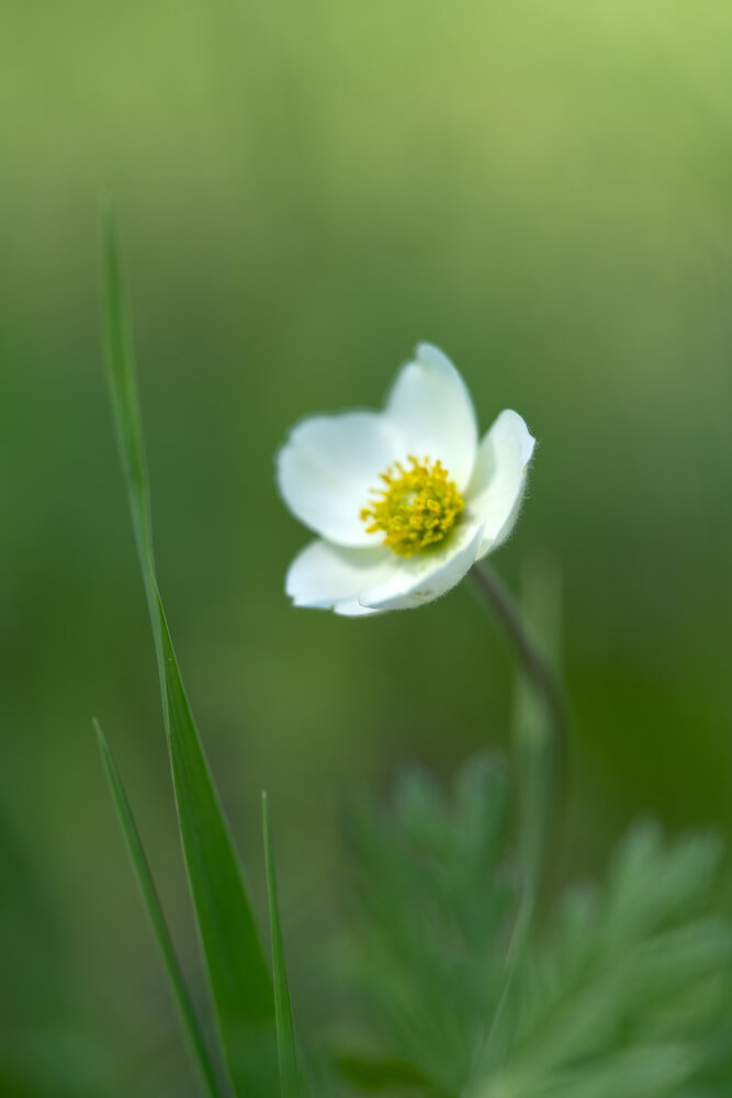 Photograph by Алексей Поликарпов