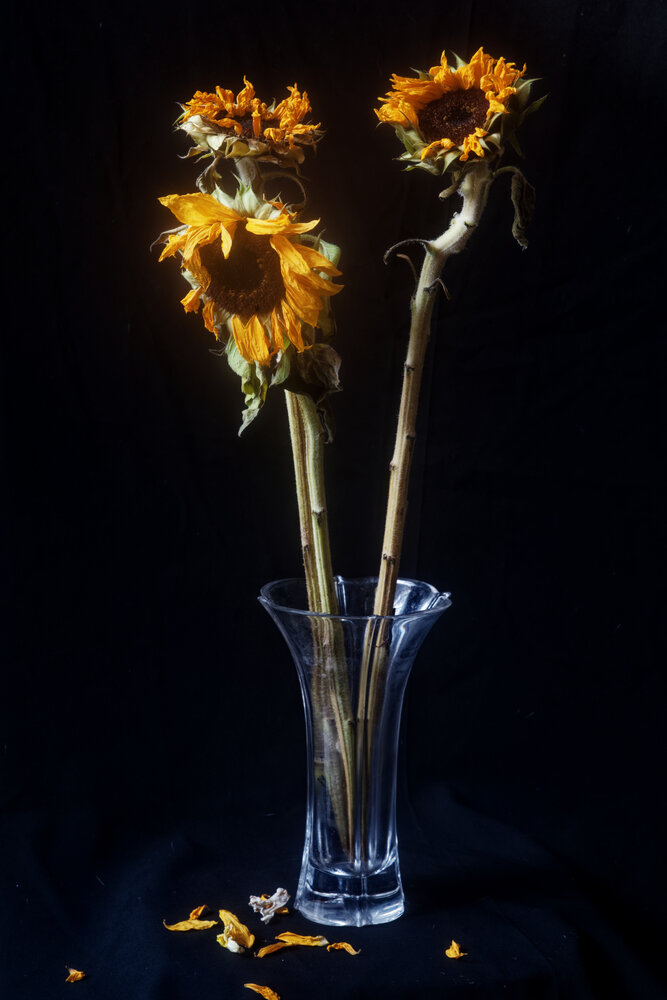 Photograph by Henry Cukier