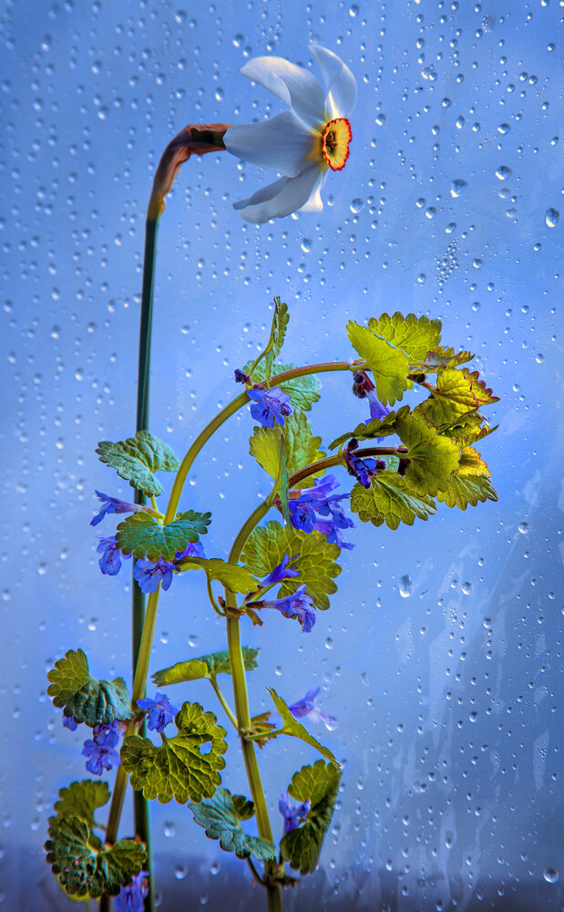 Photograph by Вячеслав Валентинович