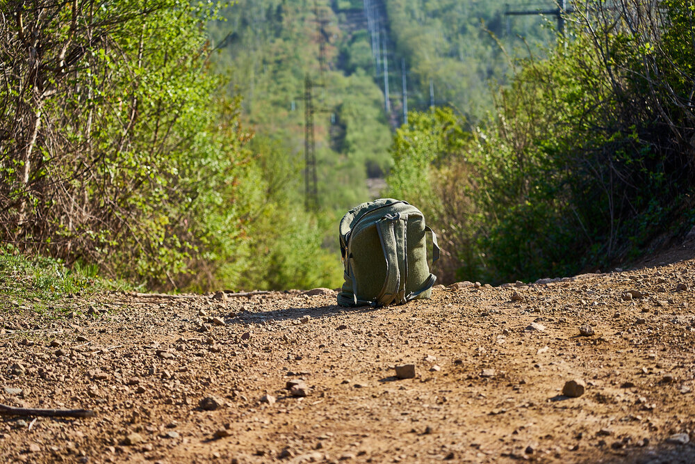 Photograph by Лариса Н