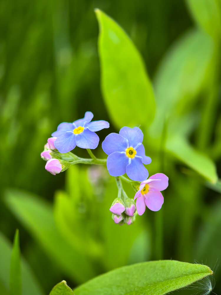 Photograph by Елена Шляхова