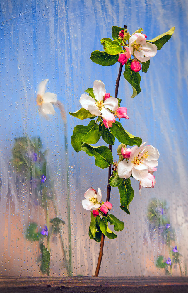 Photograph by Вячеслав Валентинович