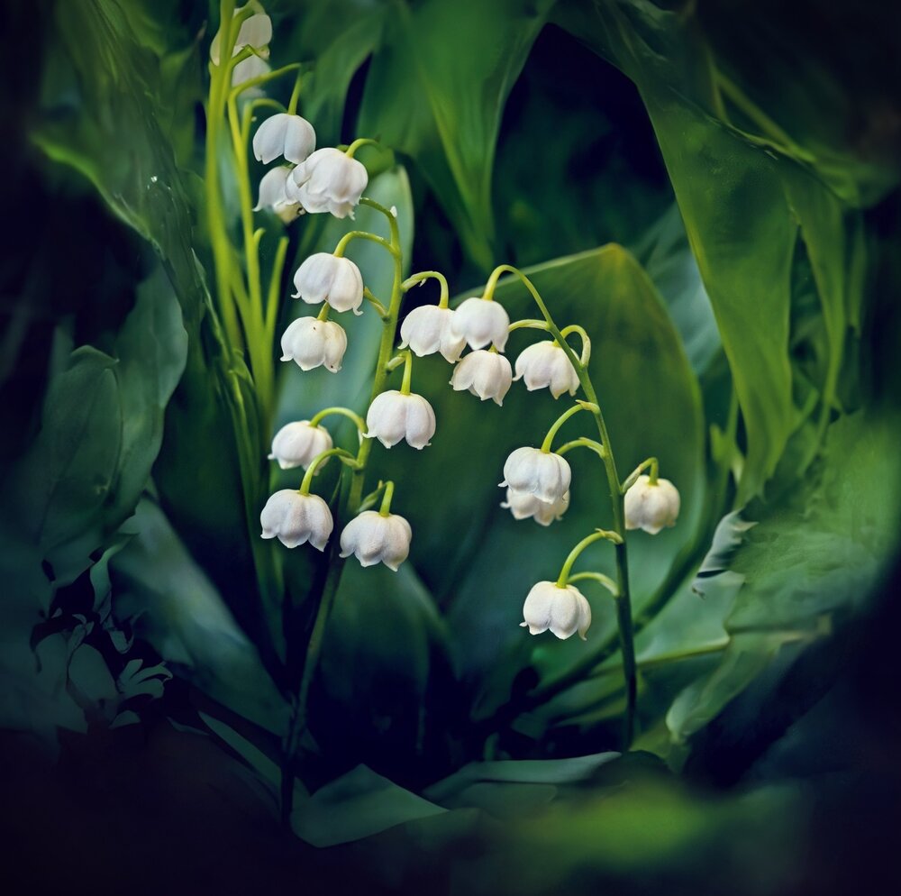 Photograph by Игорь Бахарев