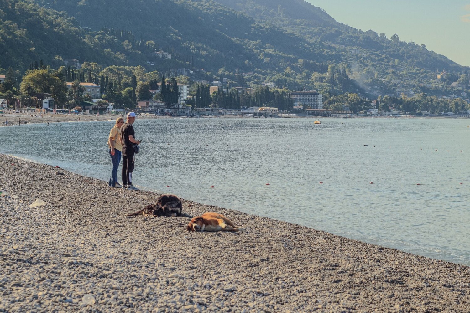 Photo #13859637