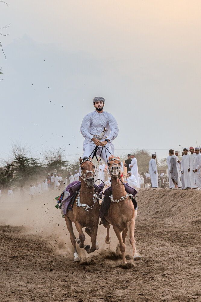 Photograph by Omar Shebl