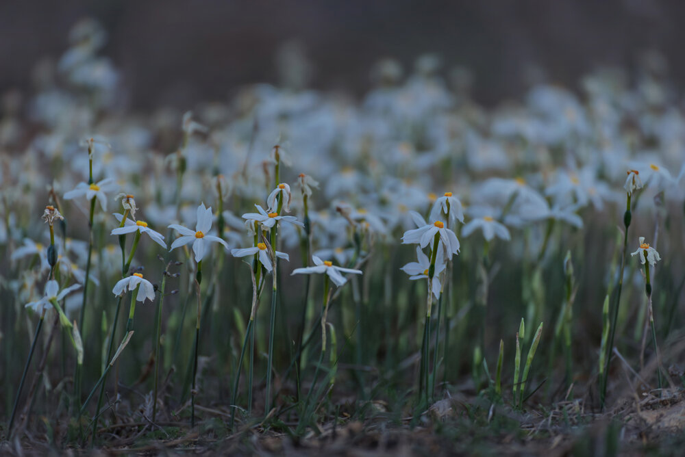 Photograph by Марина Ческис
