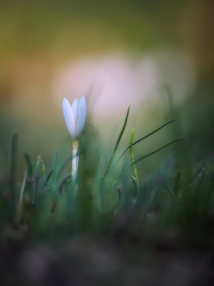 Photograph by Марина Ческис