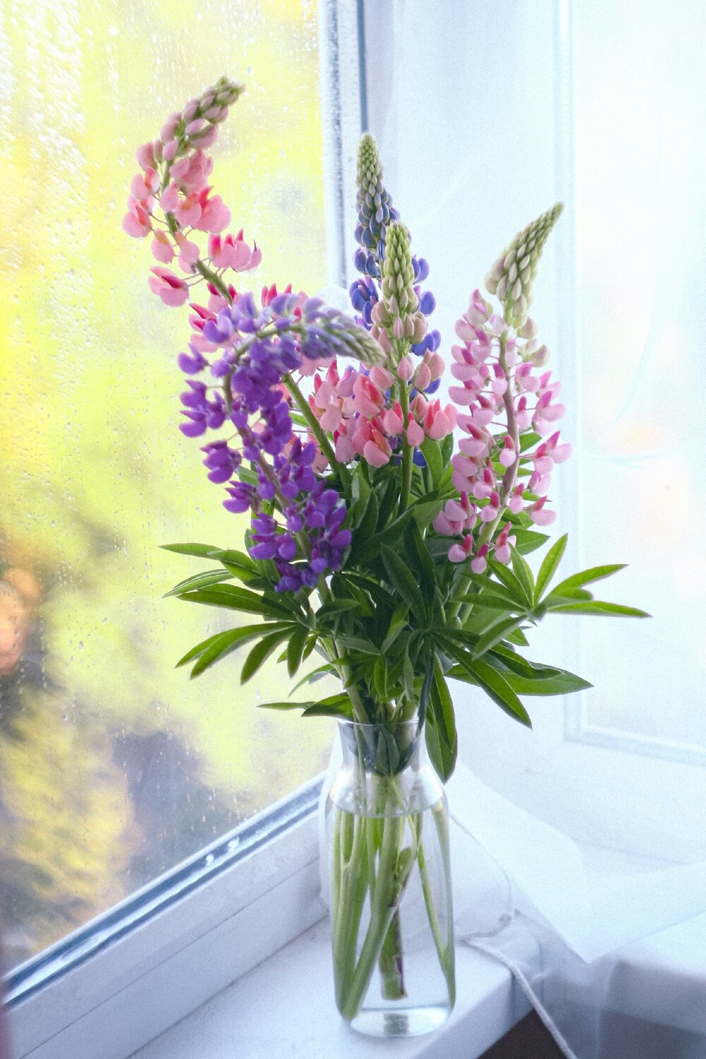 Photo #13859718