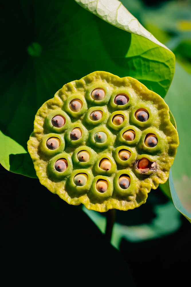 Photograph by Inna Vysotska