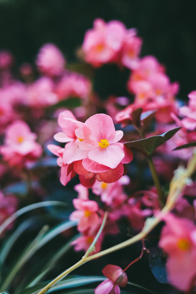 Photograph by Inna Vysotska