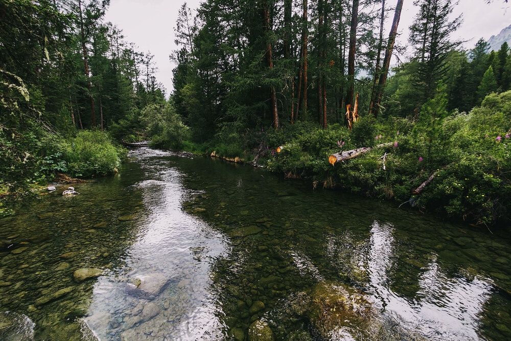Photograph by TOTORO