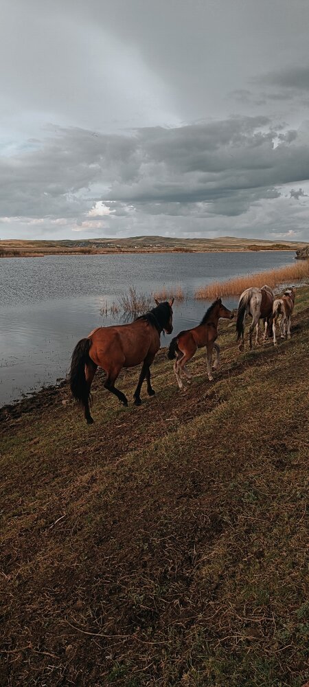 Photograph by Елена Калинина