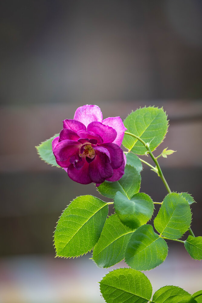 Photograph by Высотских Владимир