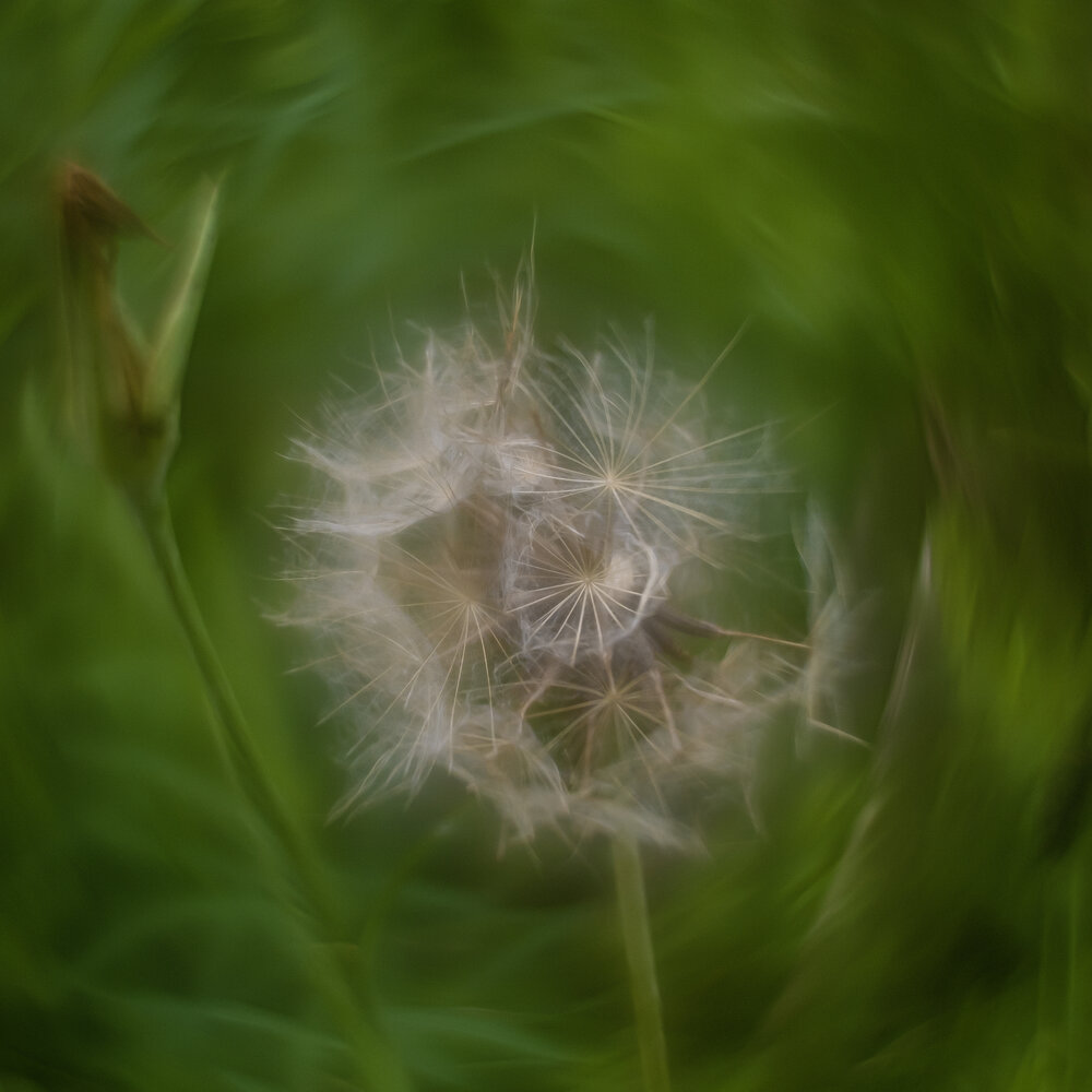 Photograph by Андрей Михайлин