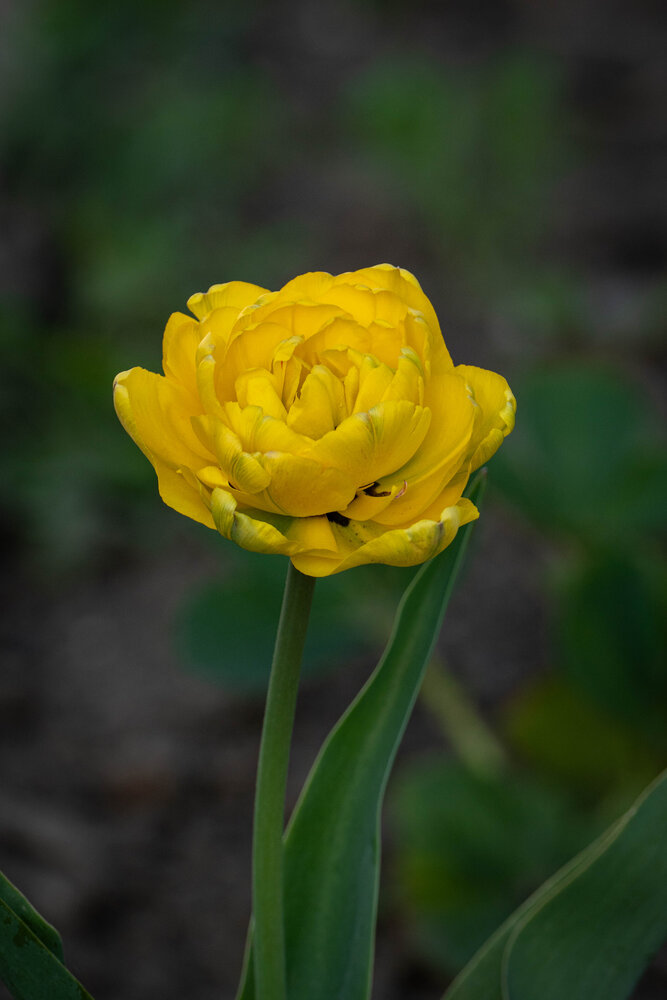 Photograph by Высотских Владимир