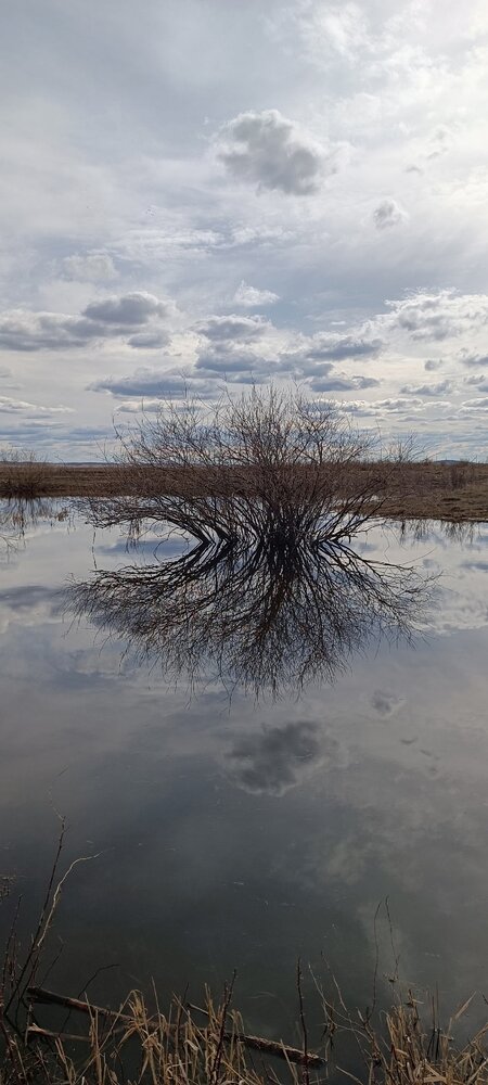 Photograph by Елена Калинина