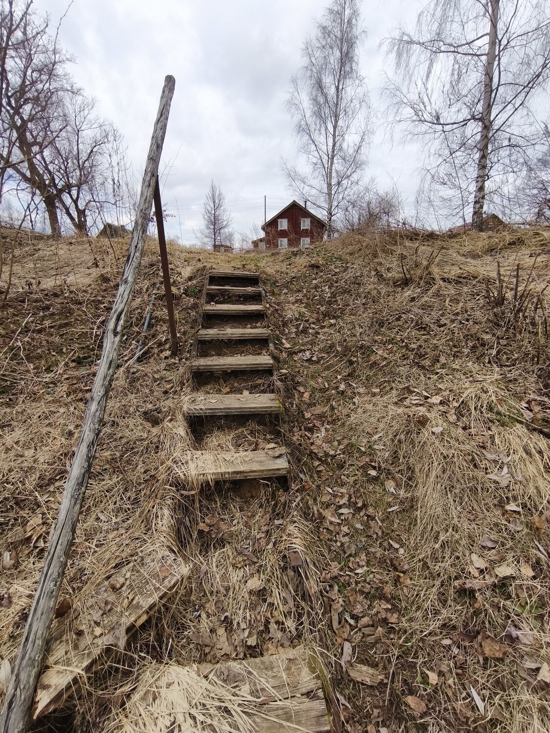 Photo #13859923