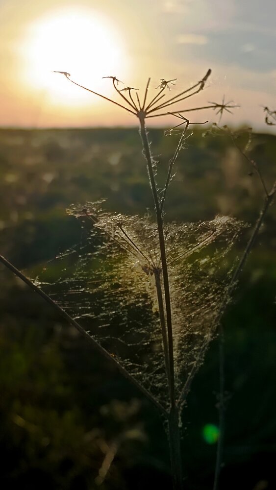 Photograph by Елена Калинина