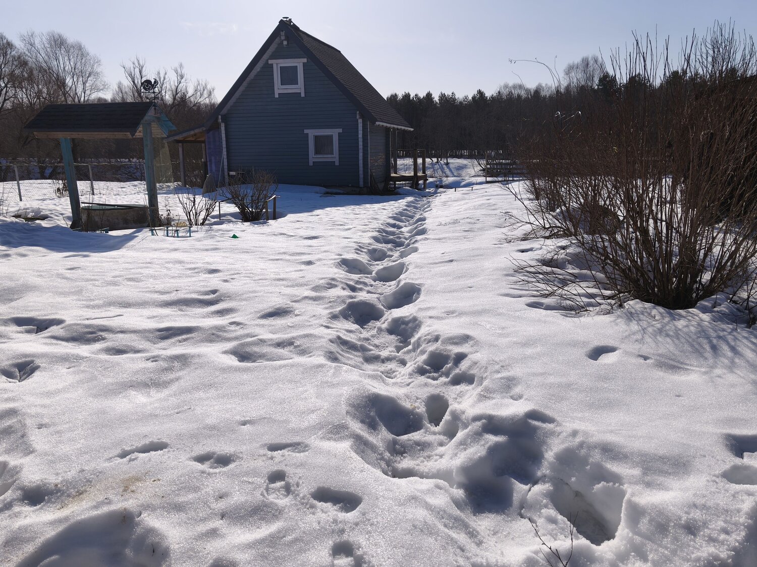 Photo #13859954