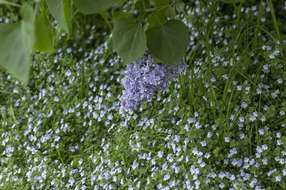 Photograph by Татьяна Мурзенко