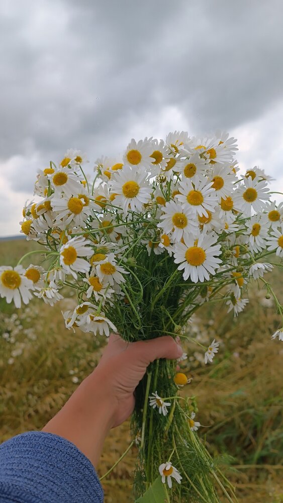 Photograph by Елена Калинина