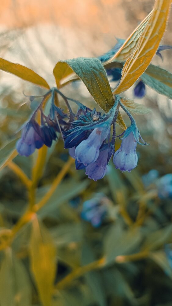 Photograph by Елена Калинина