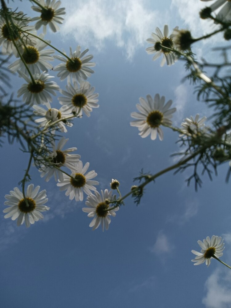Photograph by Елена Калинина