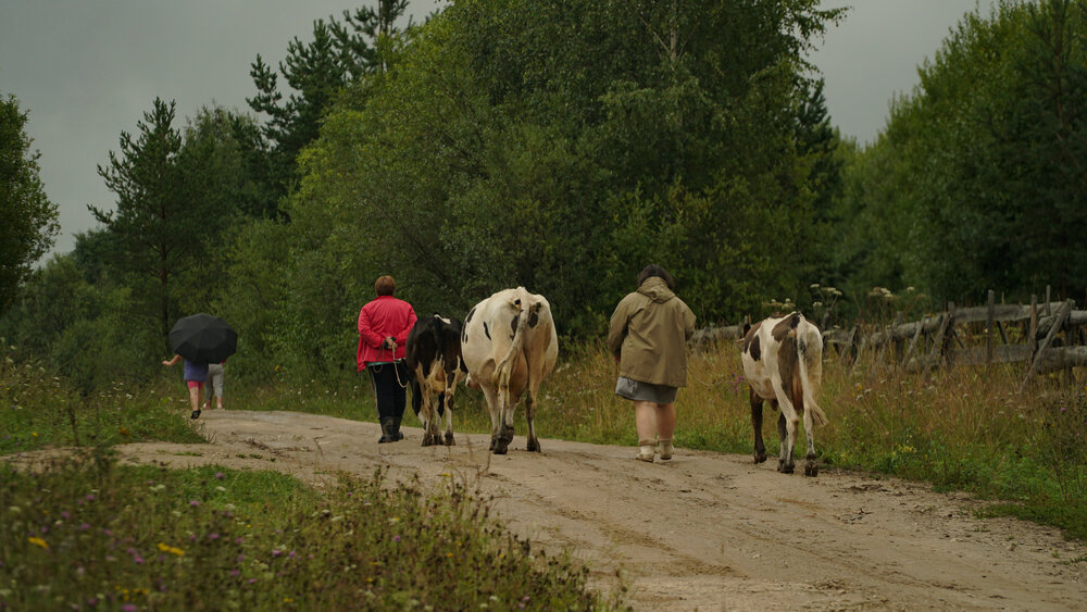 Photograph by Дмитрий Кирсанов
