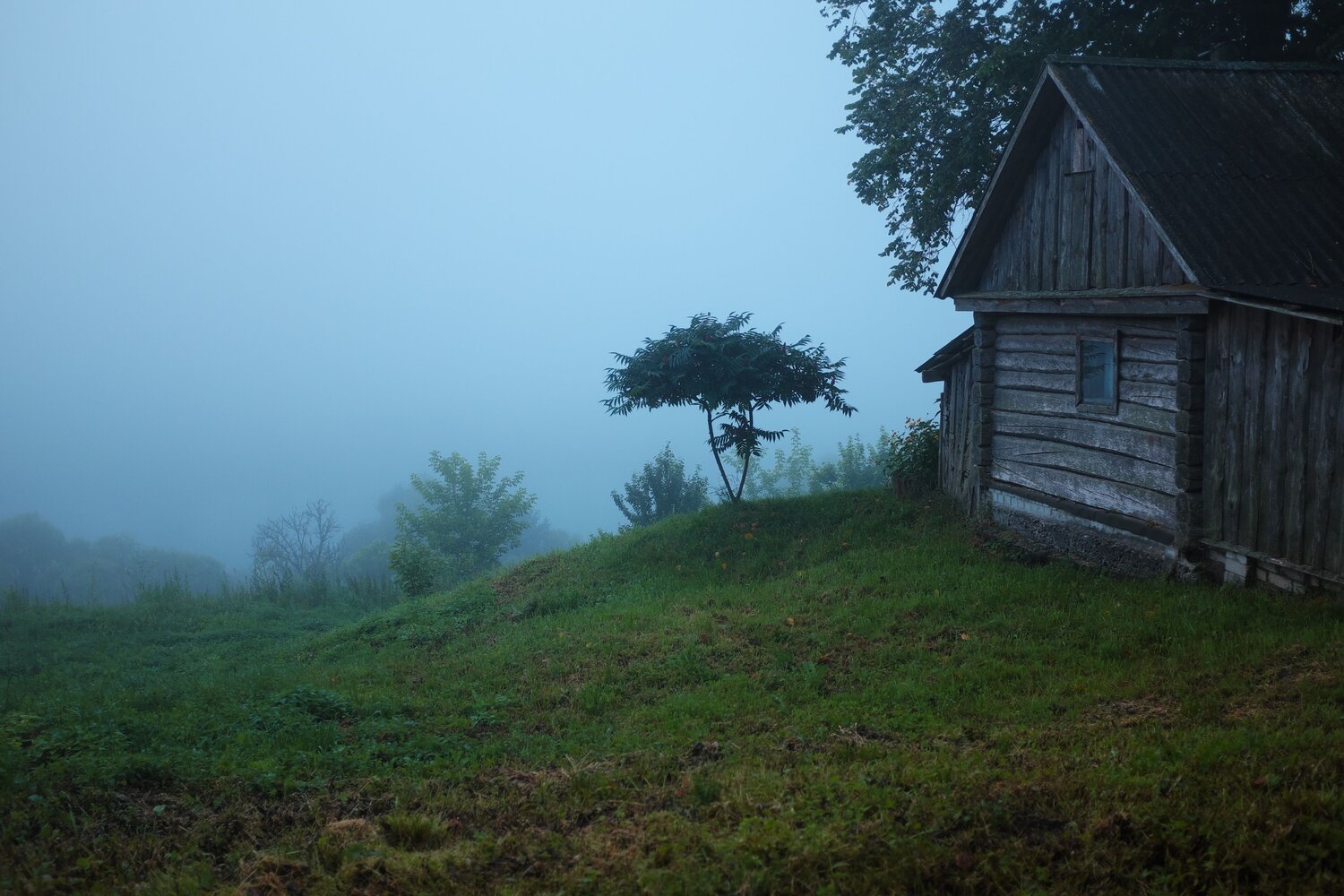 Photo #13860005