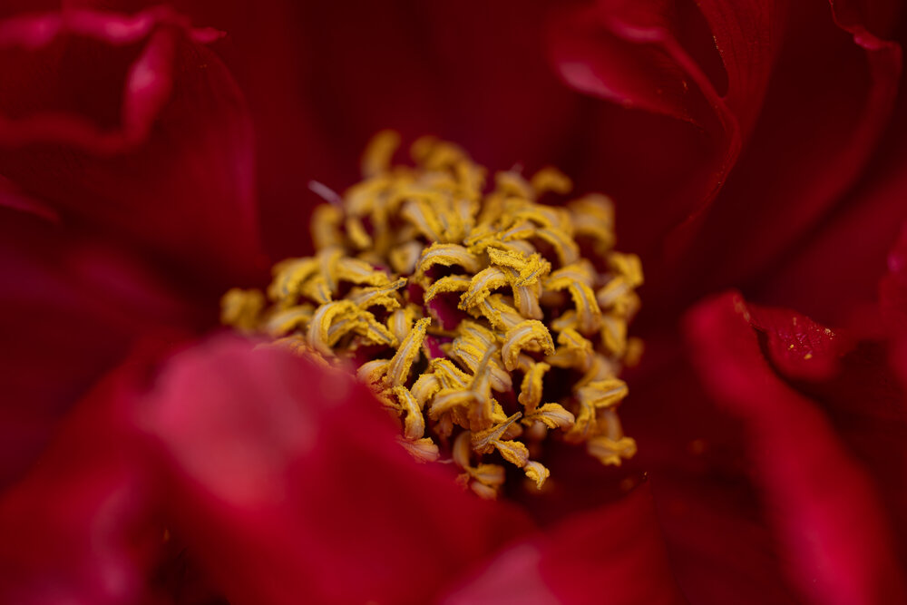 Photograph by Александра Смирнова