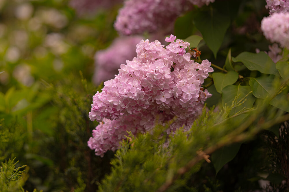 Photograph by Александра Смирнова