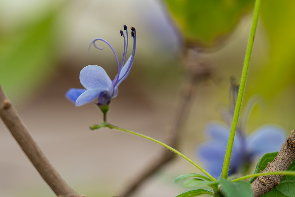Photograph by Александра Смирнова