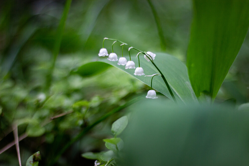 Photograph by Роман Якута