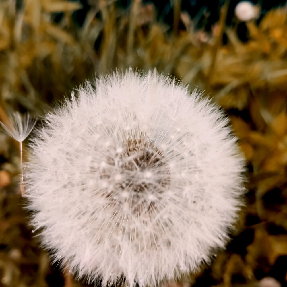 Photograph by Ирина Сергейчук