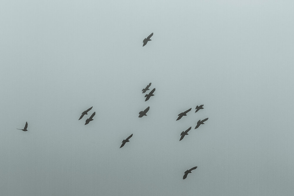 Photograph by Максим Светличный