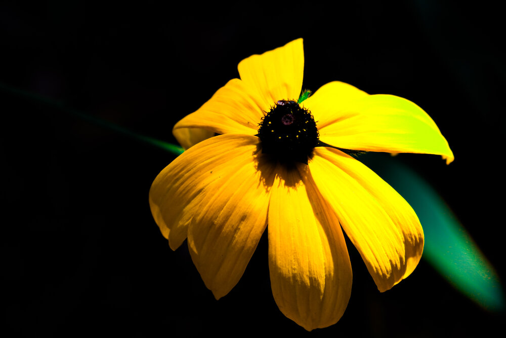Photograph by Алексей Парамзин