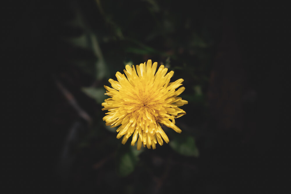 Photograph by Алексей Парамзин