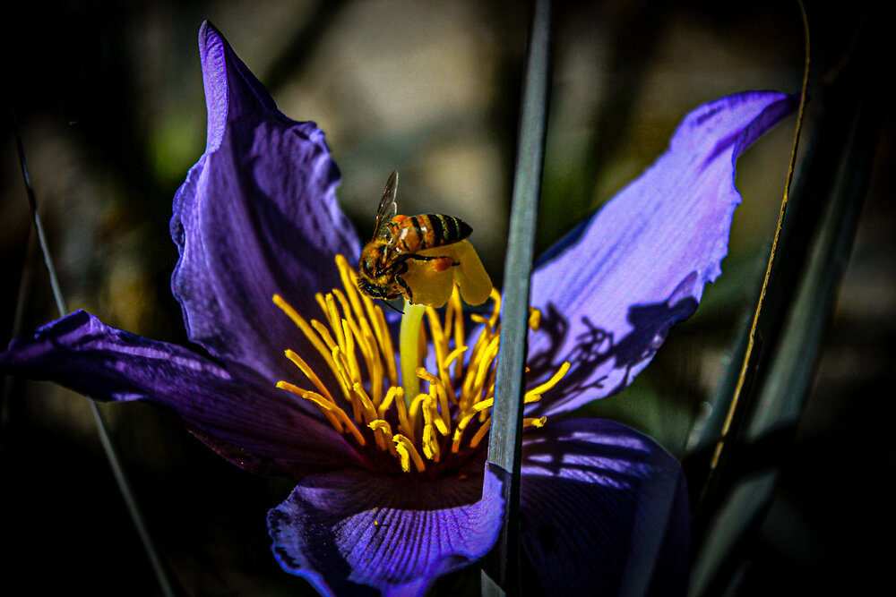 Photograph by Bruno Posnik Roloff