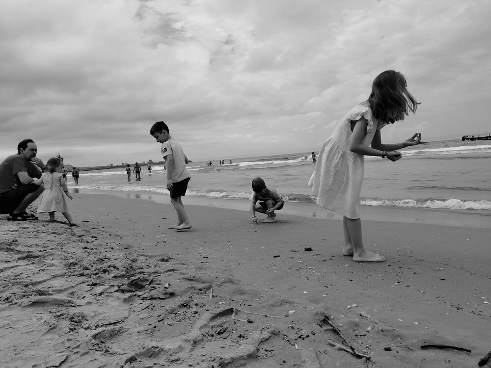 Photo #13860188