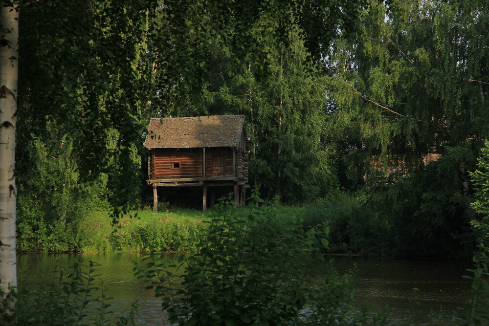 Photograph by Волкова Владимира