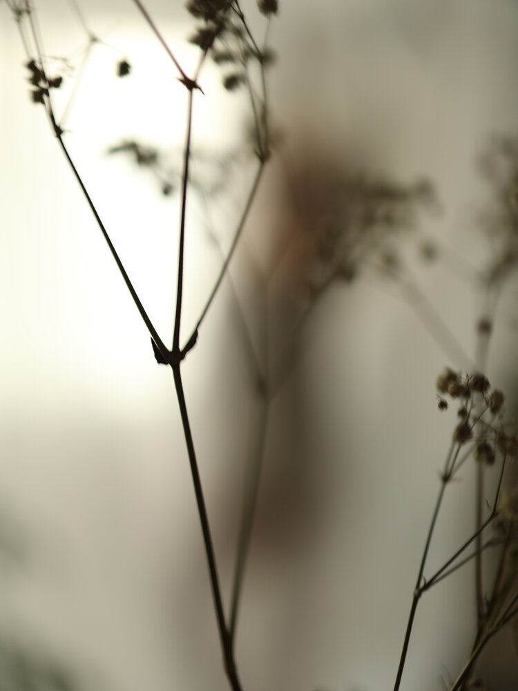 Photograph by Ольга Зиброва